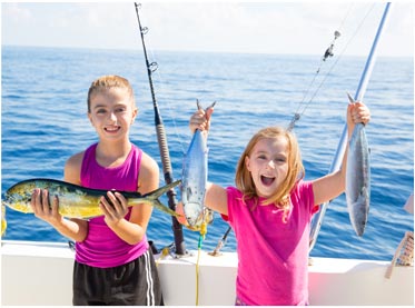 手机攻击器APP下载